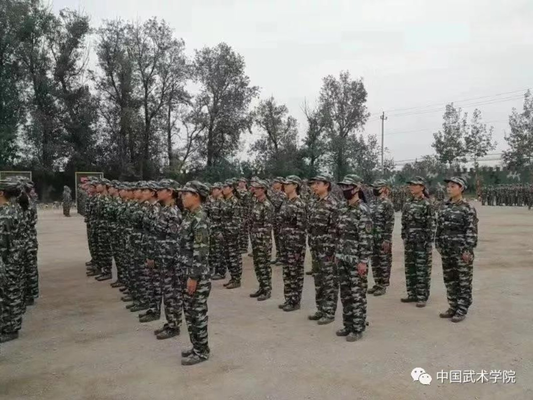 柠檬体育APP下载