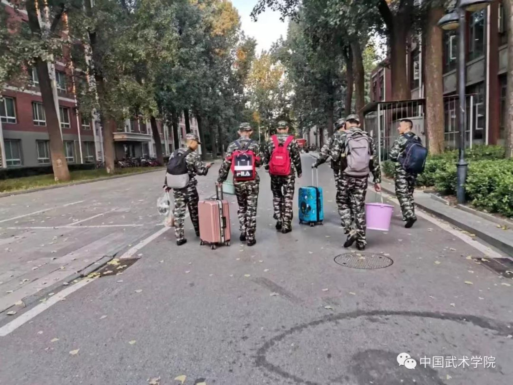 柠檬体育备用网址