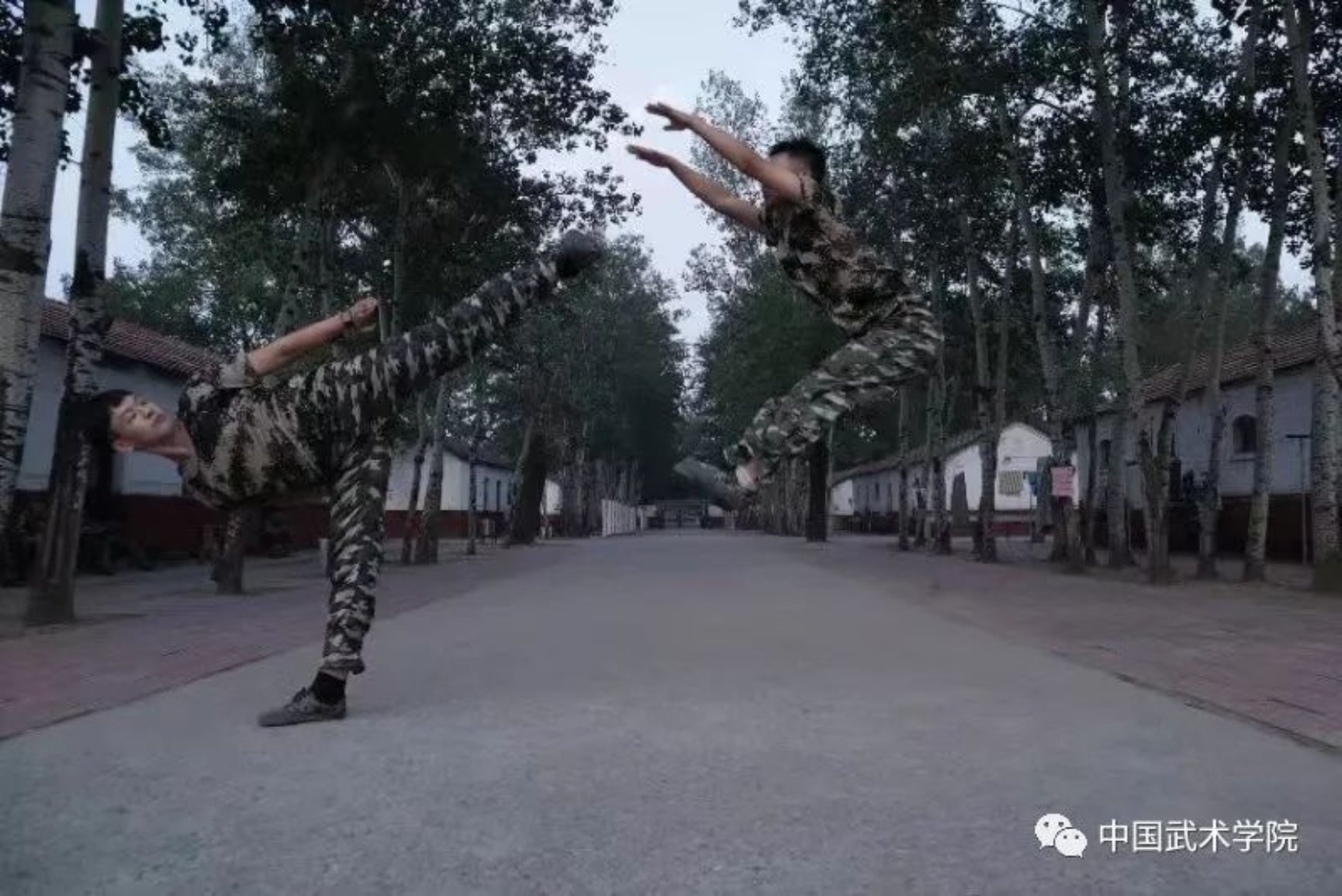 柠檬体育直播