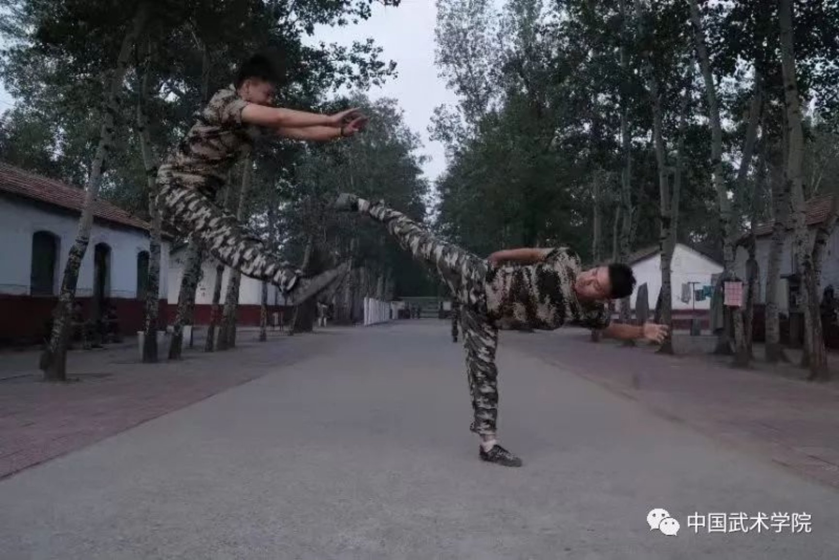 柠檬体育加速节点